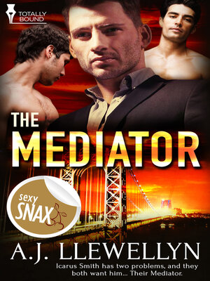 cover image of The Mediator